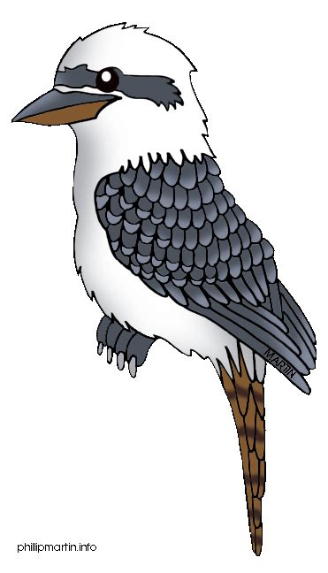 Kookaburra clipart - Clipground