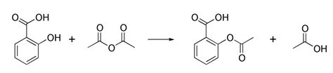 Lysine Acetylation Mechanism