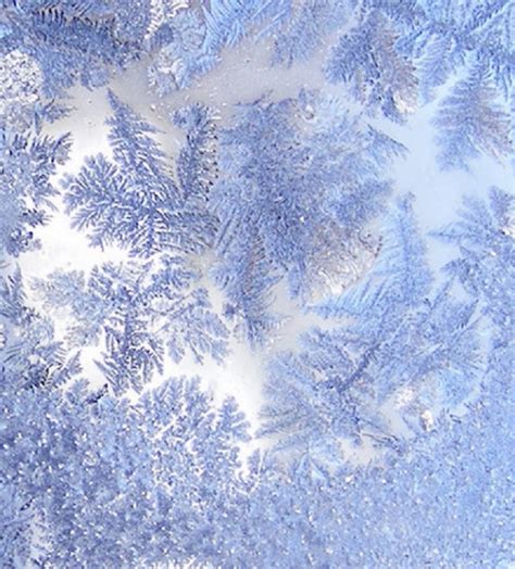 18 Perfect Snowflakes - Snow Addiction - News about Mountains, Ski, Snowboard, Weather & Meteorology