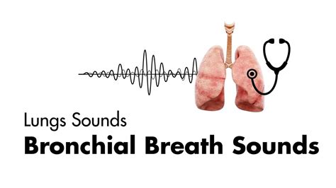 Bronchial Breath Sounds - Lung Sounds - Medzcool - YouTube