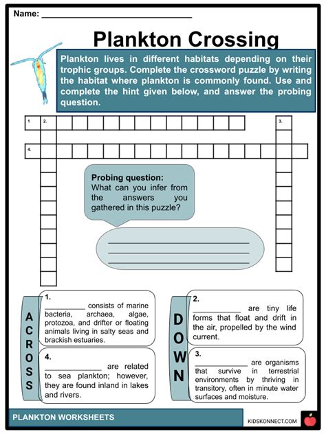 Plankton Facts & Worksheets | Groups, Ecological Significance