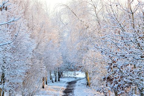 Aberbrothock: Forfar Loch in the snow