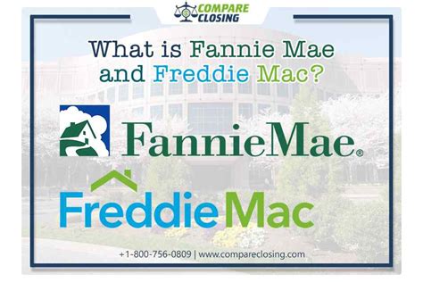 What Are Fannie Mae And Freddie Mac? - The Supreme Details