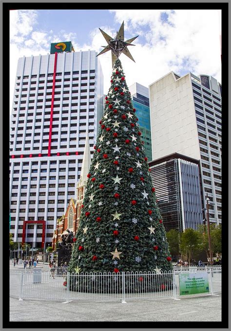 King George Square Christmas Tree-1= | King George Square Ch… | Flickr