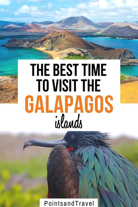 Best Time to Visit the Galapagos Islands