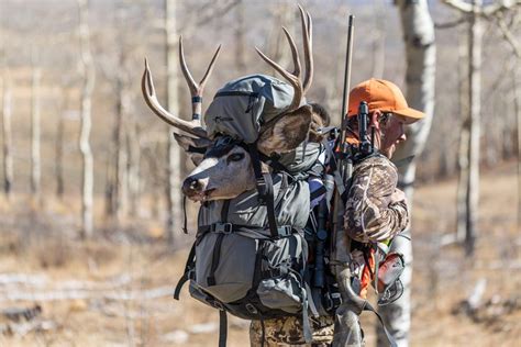 5 Best Elk Hunting Backpacks | BestHuntingAdvice