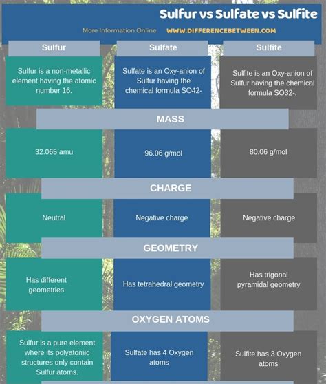 Difference Between Sulfur, Sulfate and Sulfite | Compare the Difference Between Similar Terms