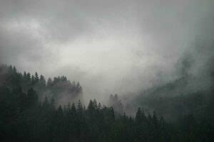 Dew Point And Fog: Relationship And Detailed Facts - LAMBDAGEEKS