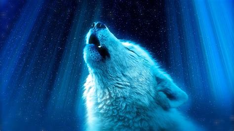 Alone Wolf HD Wallpaper