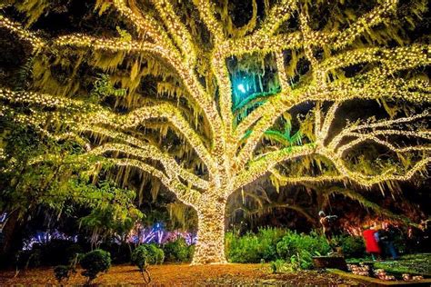 Brookgreen Gardens' Night of a Thousand Candles in Murrells Inlet, SC ...