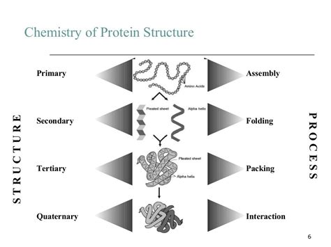 Protein classification