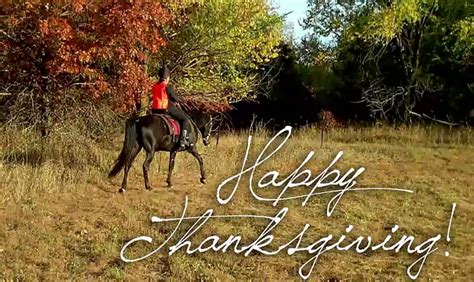 50+ Happy Thanksgiving Horse Images Free Download 2023 - QuotesProject.Com