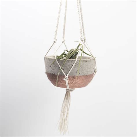 Concrete Bowl Planter By Bells and Whistles Make