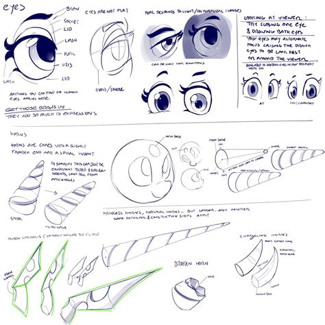 Equestria Daily - MLP Stuff!: Awesome Pony Anatomy Tutorial by DimFann!