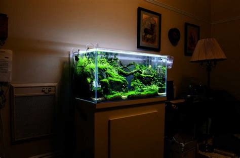 The Best Aquarium Design For Home Interior ~ Home Interior Project