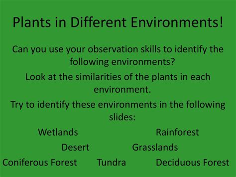 PPT - Plants in Different Environments! PowerPoint Presentation, free download - ID:2798101