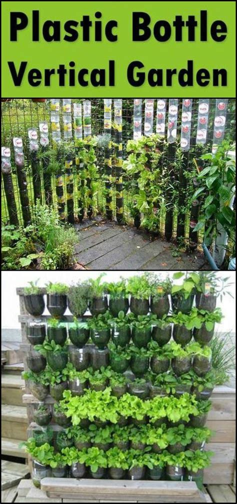 Build a vertical garden from recycled soda bottles – DIY projects for everyone! | Vertical ...