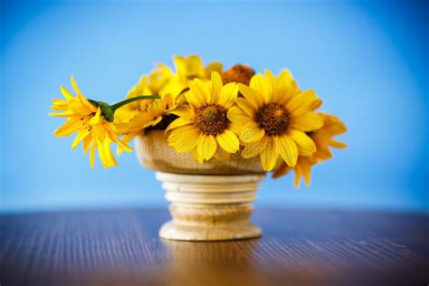 Bouquet of Yellow Big Daisies Stock Photo - Image of detail, bunch ...