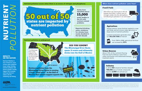 Harmful Algal Blooms | Nutrient Pollution | US EPA