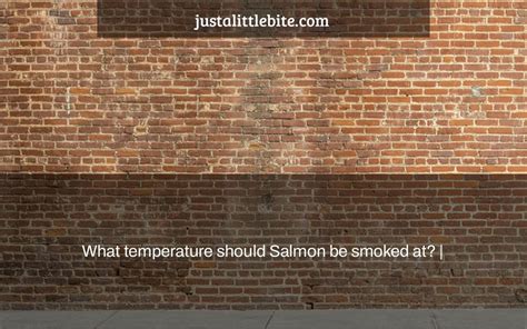 What temperature should Salmon be smoked at? | - JustALittleBite