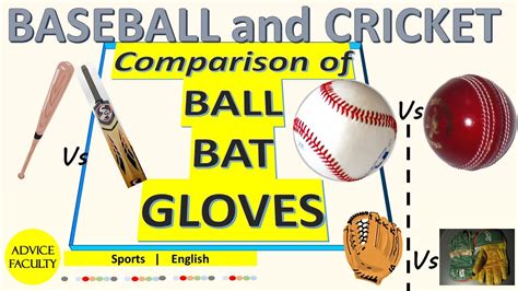 CRICKET vs BASEBALL’s BALL, BAT & GLOVE-cricket bat vs baseball bat|Cricket ball vs Baseball ...