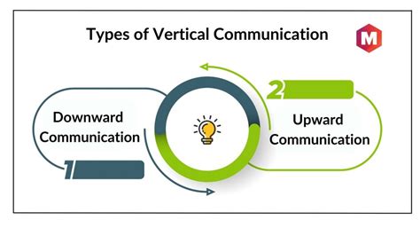 Vertical Communication - Definition, Types, Advantages and ...