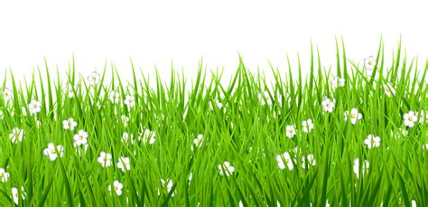 Download Grass, 3D, Graphics. Royalty-Free Stock Illustration Image - Pixabay