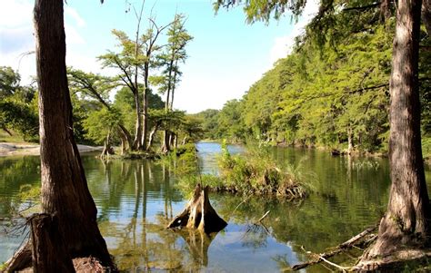 Looking Down The Blanco River by bonnie_gresham_davidson_3479 - VIEWBUG.com