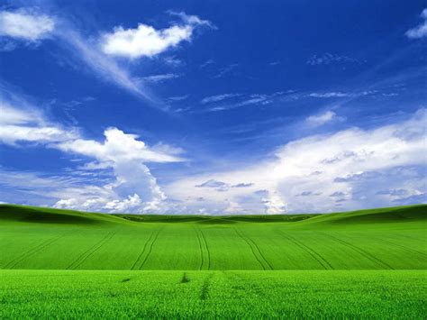 Windows Xp HD Wallpaper - Wallpapers