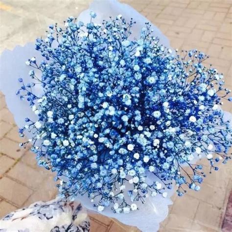 Apa Arti Bunga Baby Breath Biru?