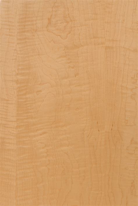 Plain Sliced Curly Maple Veneer for Slab Style Cabinet Doors | WalzCraft