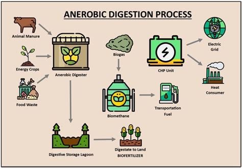 Anaerobic Digestion - KB BioEnergy