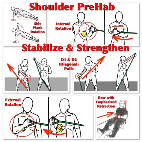 Strengthen and Stabilize the Shoulders with these PreHab Exercises! For detailed instructions ...