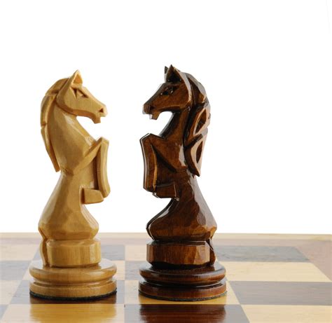 two chess horse - Human Invest