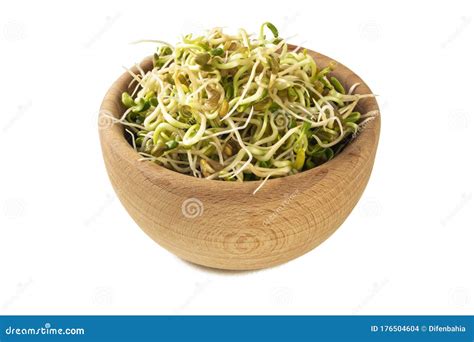 Radish Sprouts in Wooden Bowl Isolated on White Background. Nutrition. Food Ingredient Stock ...