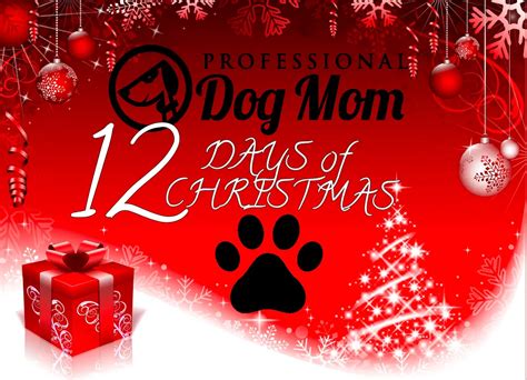 Twelve Days of Christmas 2020 - Professional Dog Mom