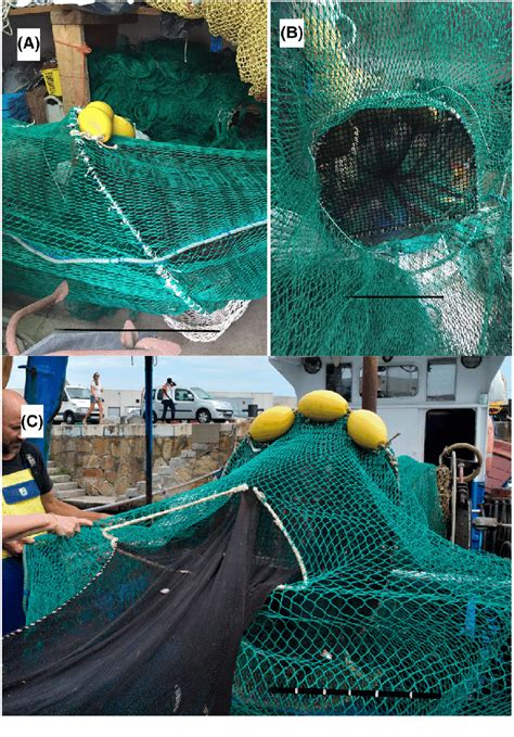 Modifications for reducing bycatch in Mediterranean trawl fisheries ...