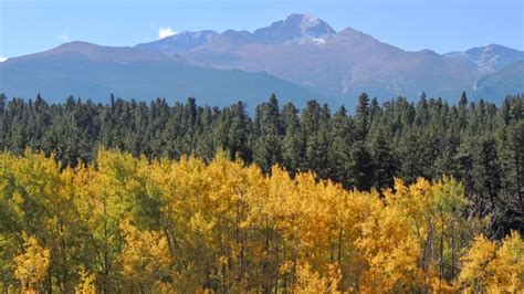 These are the 9 best drives to see fall colors in Colorado | 9news.com