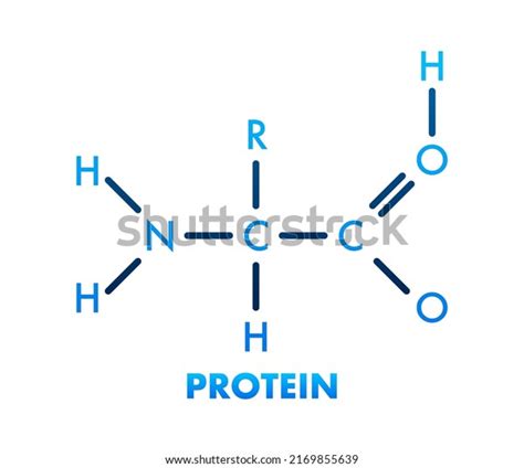 454 Phenylalanine Structure Images, Stock Photos & Vectors | Shutterstock