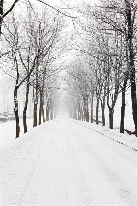 path in the snow 9493964 Stock Photo at Vecteezy