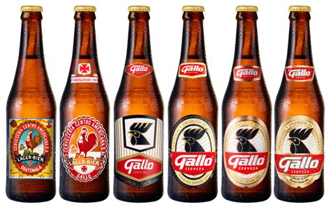 Cerveza Gallo Logo Download Png - vrogue.co