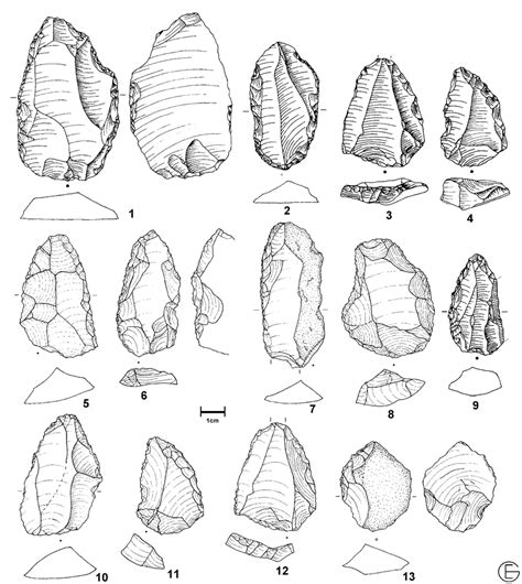 19. A selection of the Middle Paleolithic tools in the Holabad site. | Download Scientific Diagram