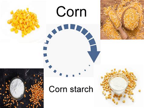 Maize starch manufacturing process_Starch production line