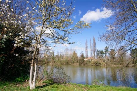 Seine River Bank in Chatou Island Stock Photo - Image of nature ...