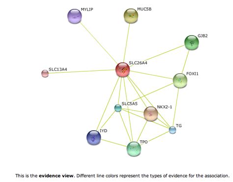 Interaction networks - Pendred syndrome & the SLC26A4 gene