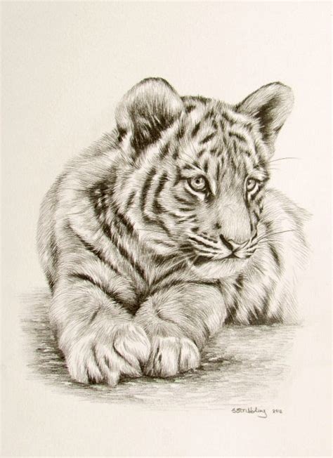 a pencil drawing of a tiger laying on the ground with its paw resting ...