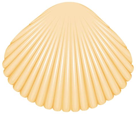 Clam shell clipart 20 free Cliparts | Download images on Clipground 2024