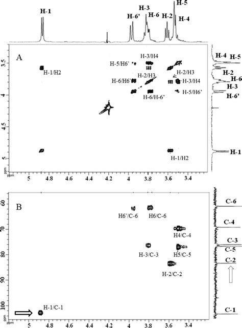 2D 1 H/ 1 H COSY NMR spectrum (A) and 2D 1 H/ 13 C HSQC NMR spectrum ...