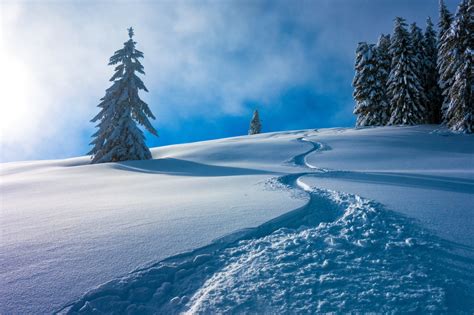 Obrázky na plochu : Nemec, Berchtesgaden National Park, stromy, príroda, sneh, zimné 2560x1707 ...