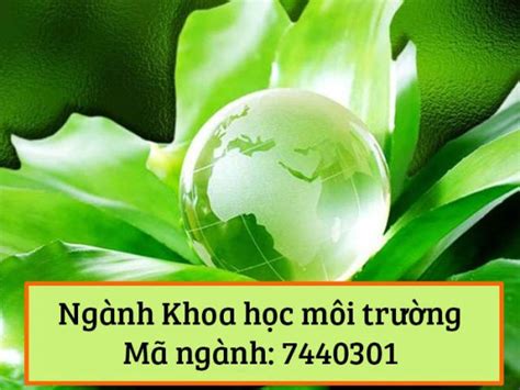 Tìm Hiểu Ngành Nghề: Khoa Học Môi Trường Là Gì? Mức Lương Thế ...